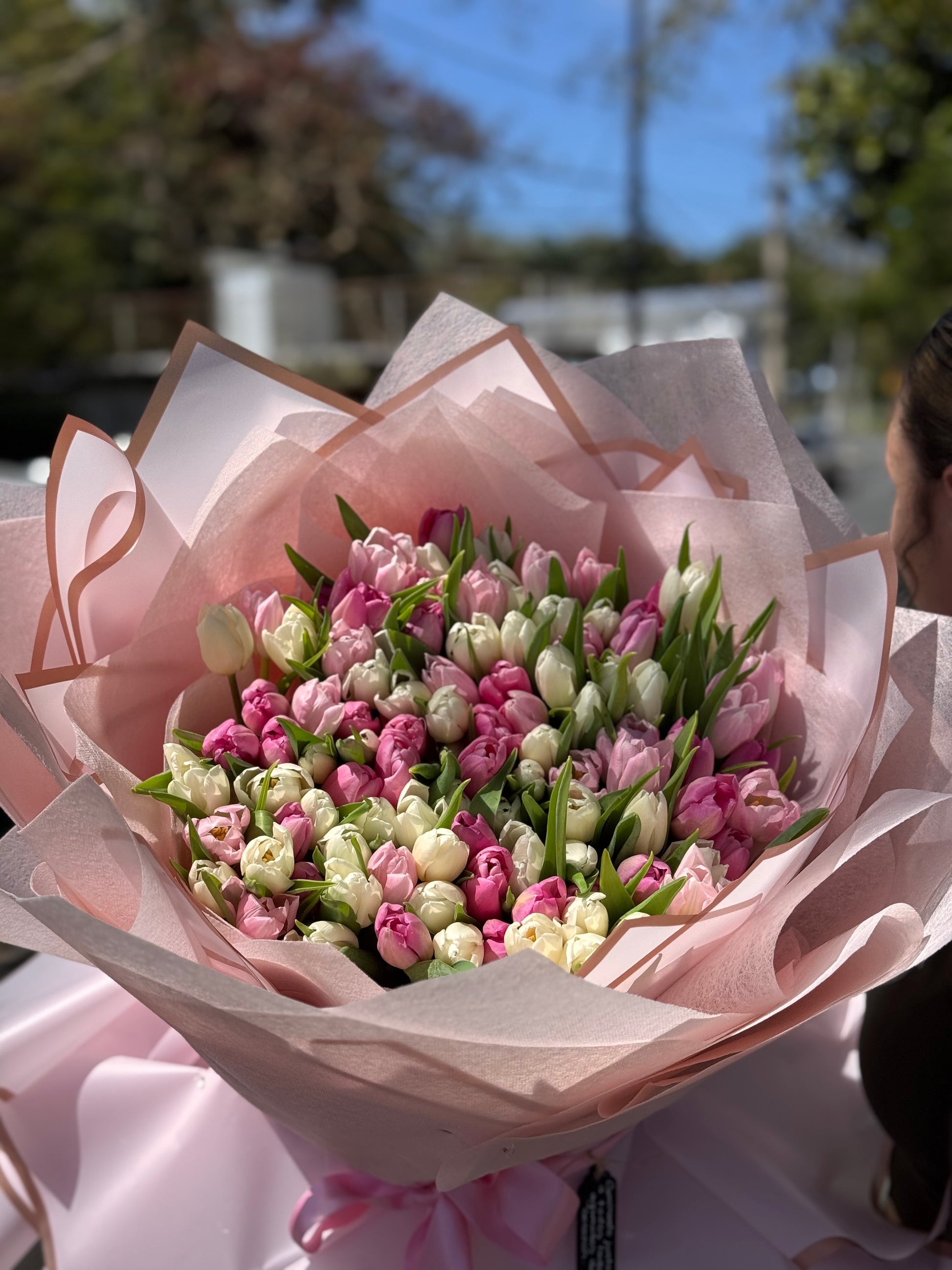 Tulipanes Encantados