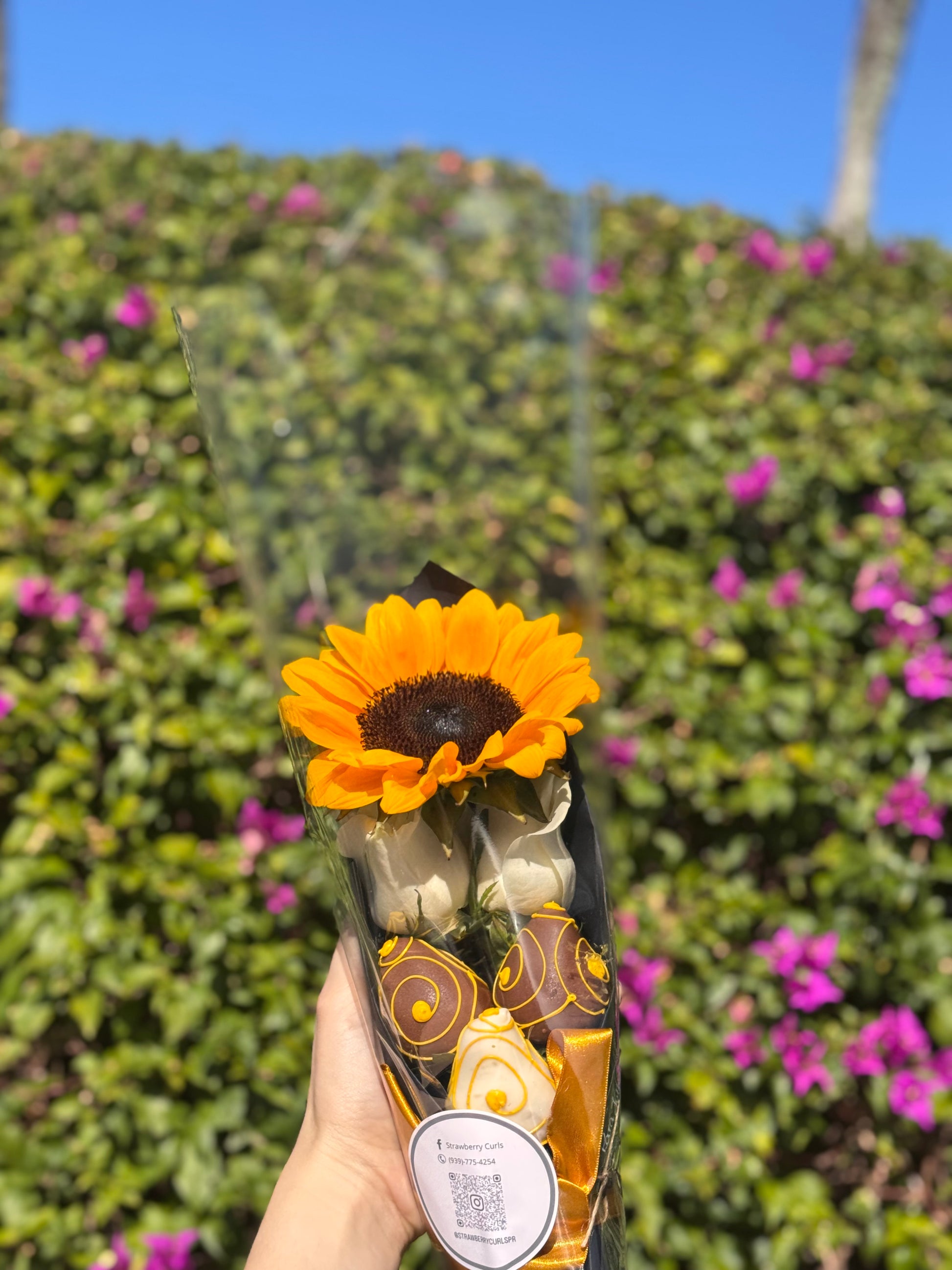 Cocoa Garden X-Small