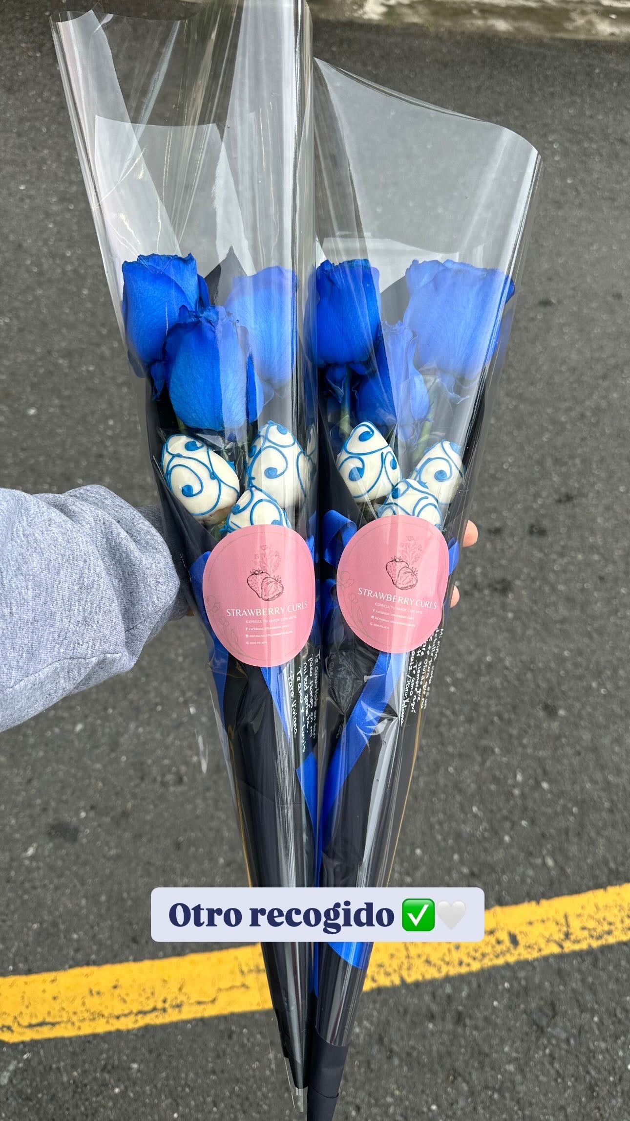 Cocoa Garden X-Small