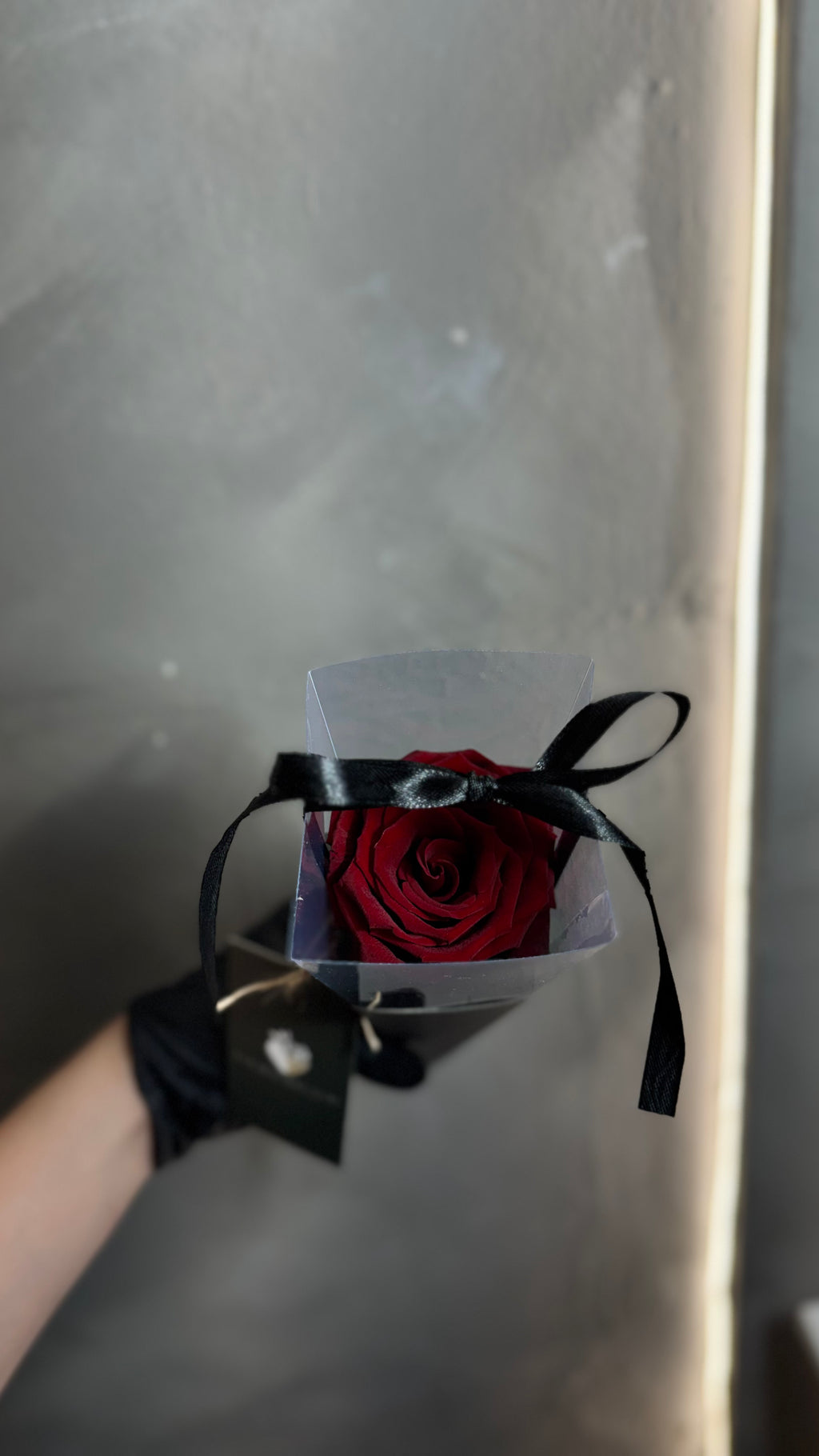Un amor, una rosa